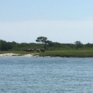 Meet your Posher, Cassie